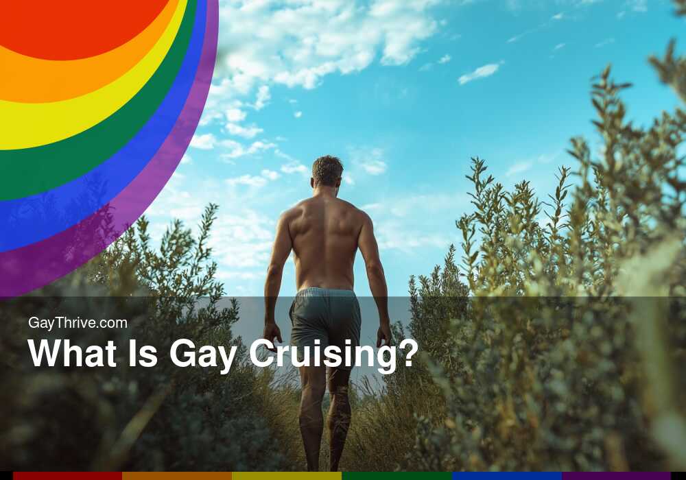 GayThrive banner for : What Is Gay Cruising?